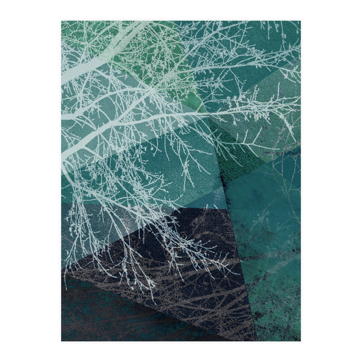 P19 E1 Trees And Triangles (Print Only)