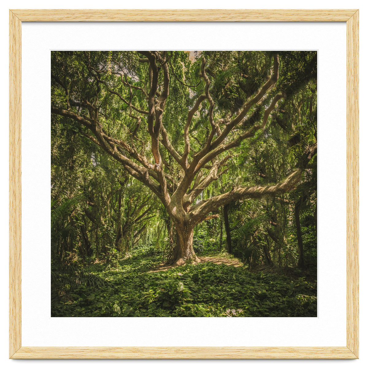 Spirits inside the wood