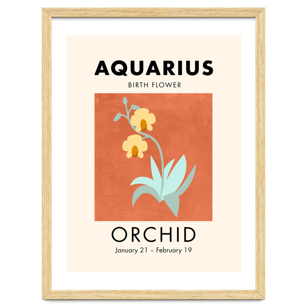 Aquarius Birth Flower Orchid