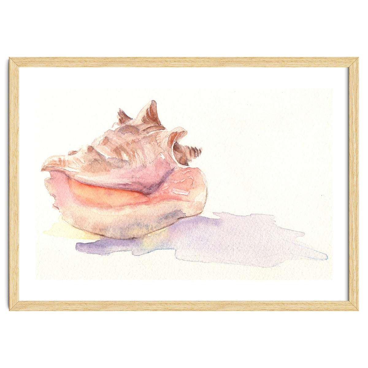 Conch Shell