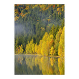 LAKE IN FOREST (Print Only) thumbnail