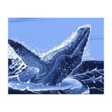 Humpback Whale Breaching  (Print Only) thumbnail