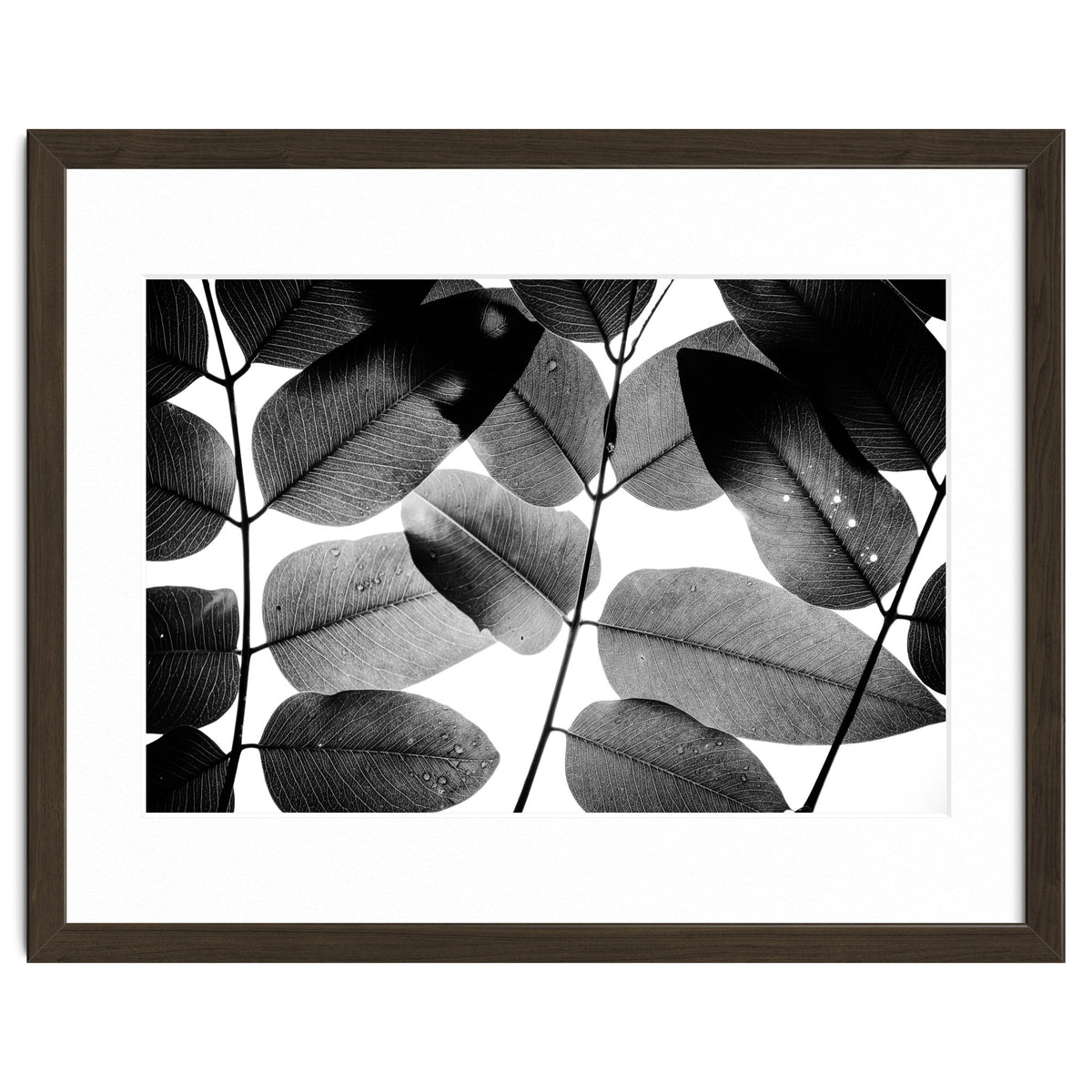 Experiments with Leaves II