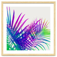 Colorful Palm