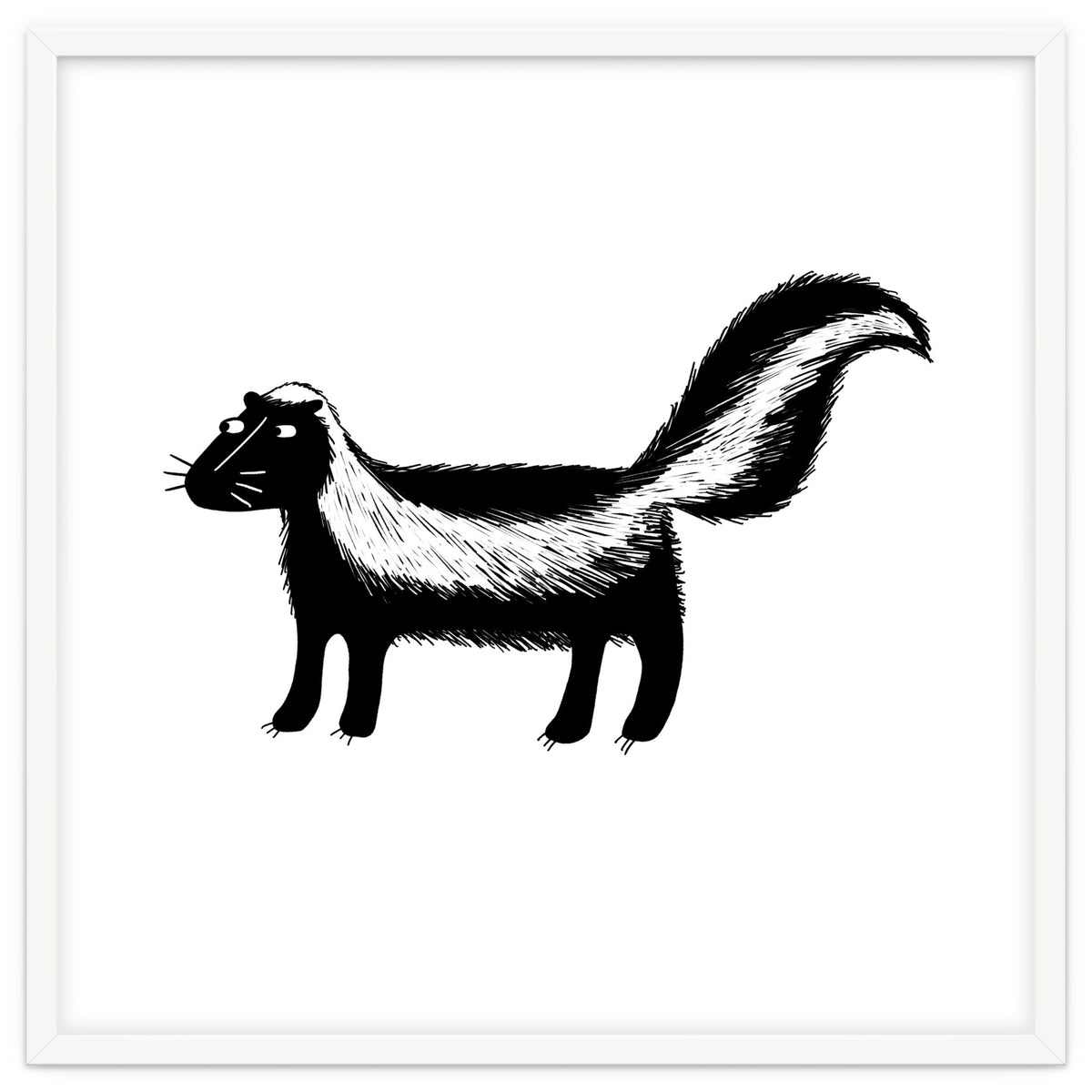 Skunk