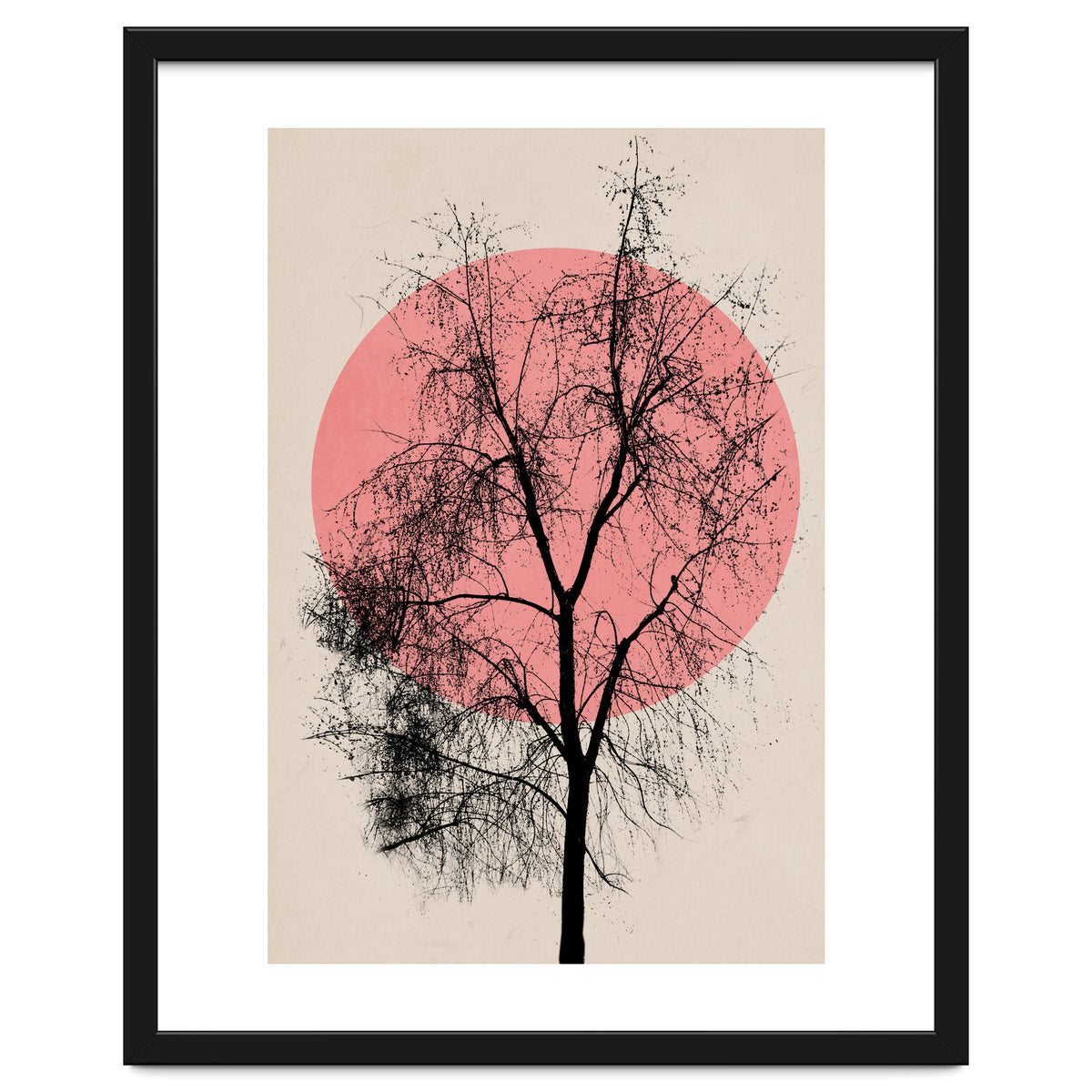 Memories And Moments