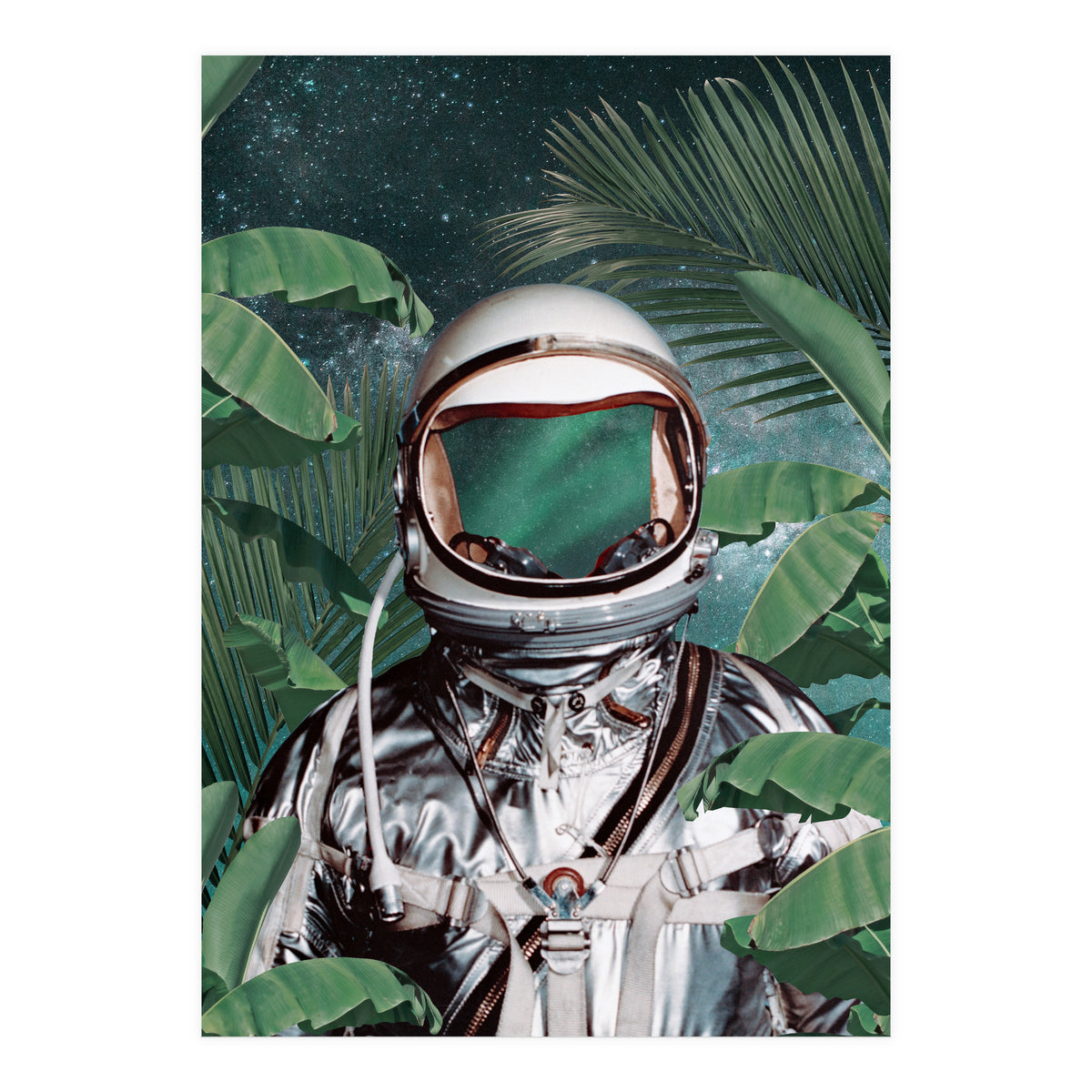 Paradise Found (Print Only)