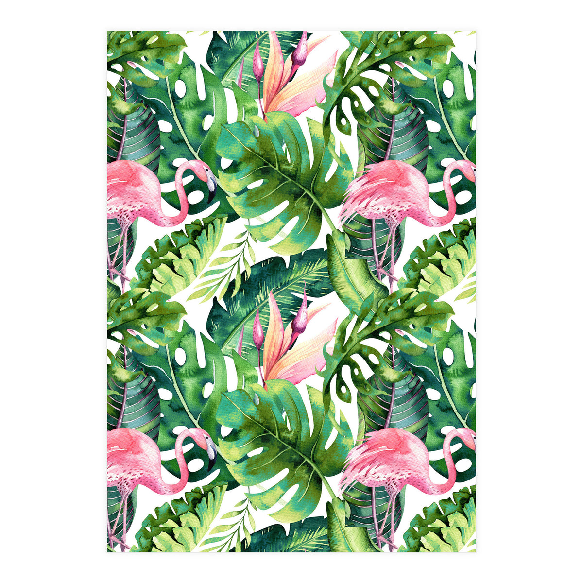 Flamingo Tropical II (Print Only)