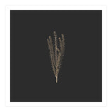 Delicate Fynbos Botanicals in Gold and Black - Square (Print Only) thumbnail