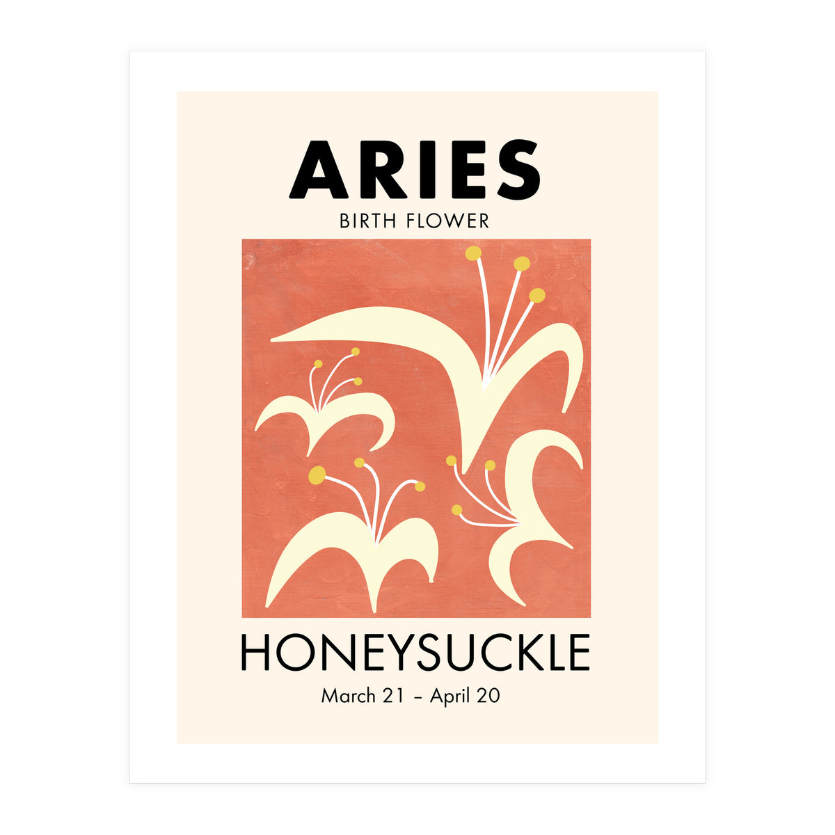 Aries Birth Flower Honeysuckle (Print Only)