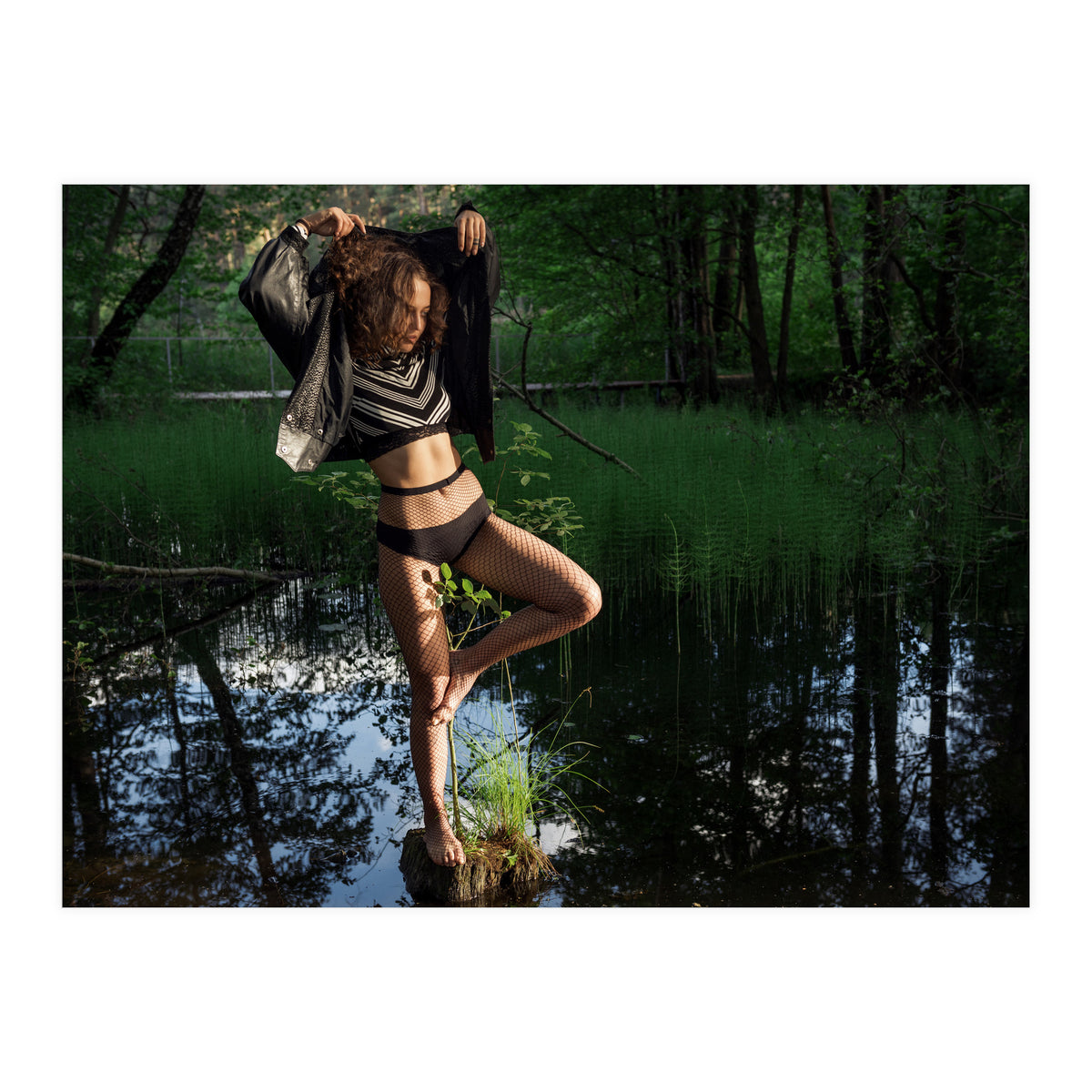 Swamp Swan (Print Only)