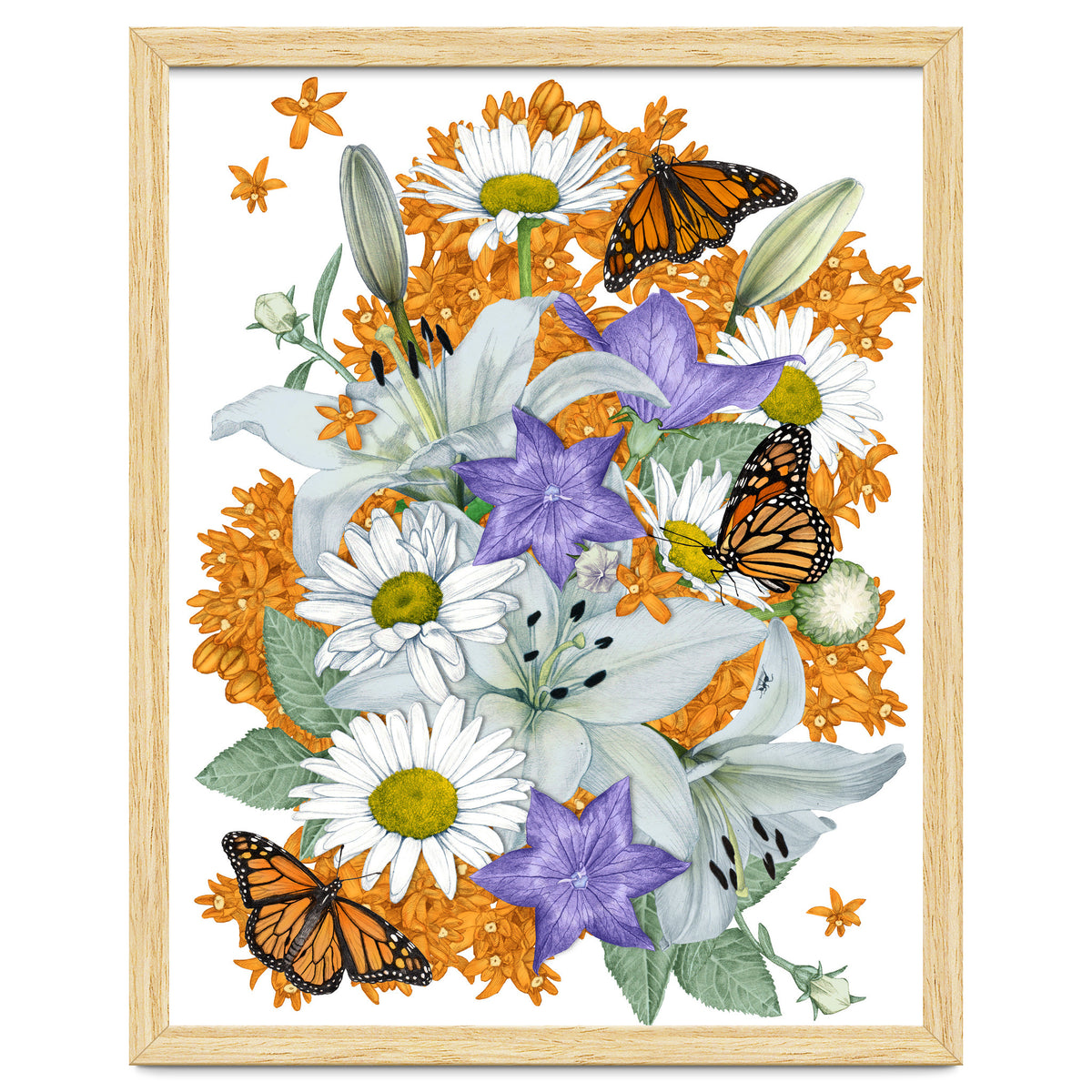 Lillies and Monarchs