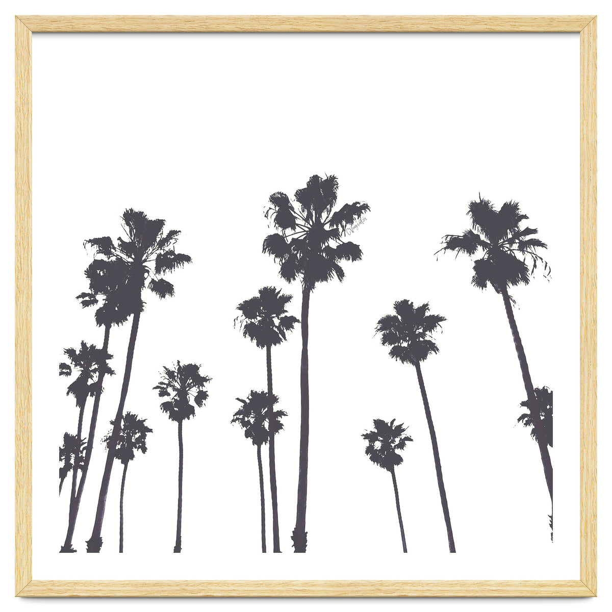 Palms & Sunset-Minimal B&W