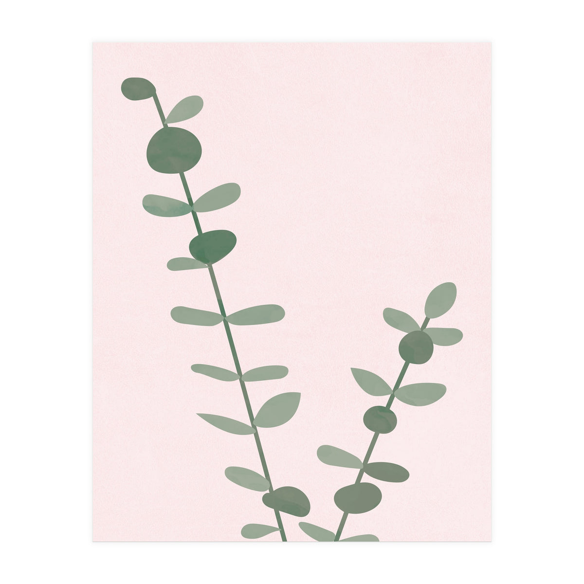 Modern Eucalyptus (Print Only)