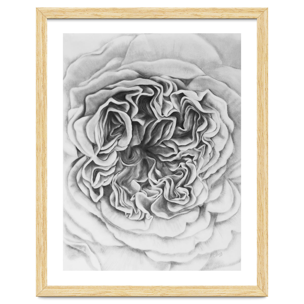 A Rose in Monochrome