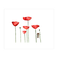 Little mouse loves big poppies || watercolor for nursery (Print Only)