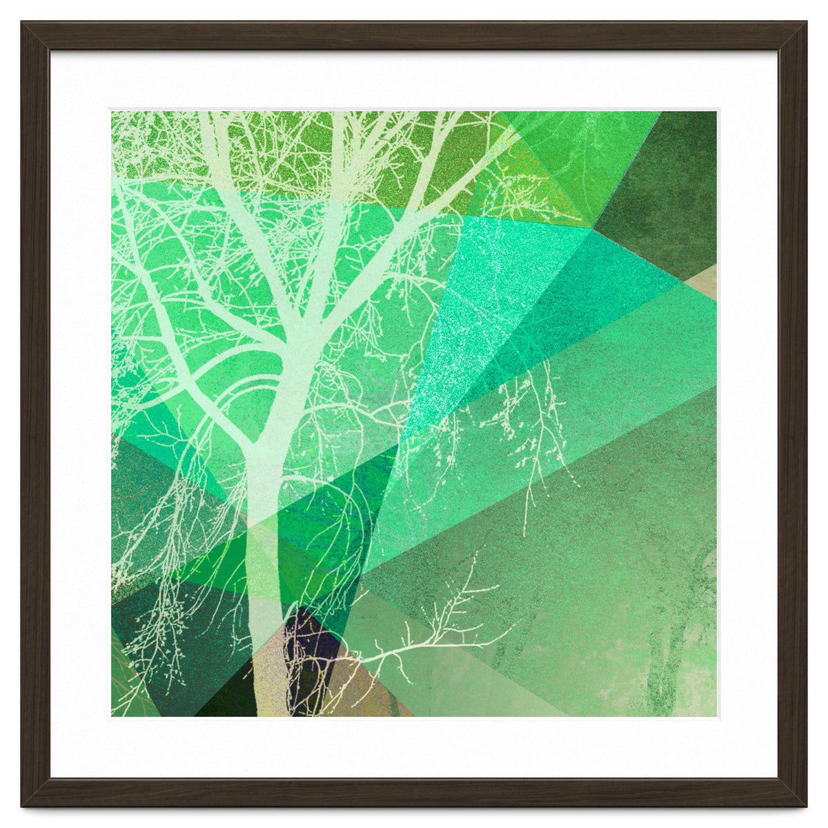 P22-B3 Trees And Triangles