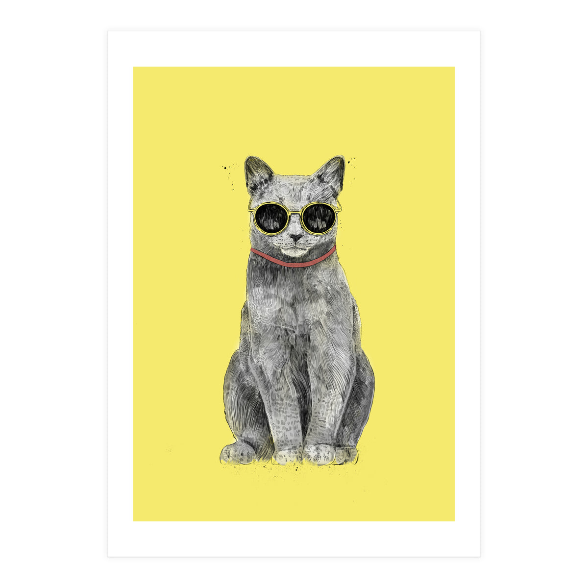 Summer Cat (Print Only)