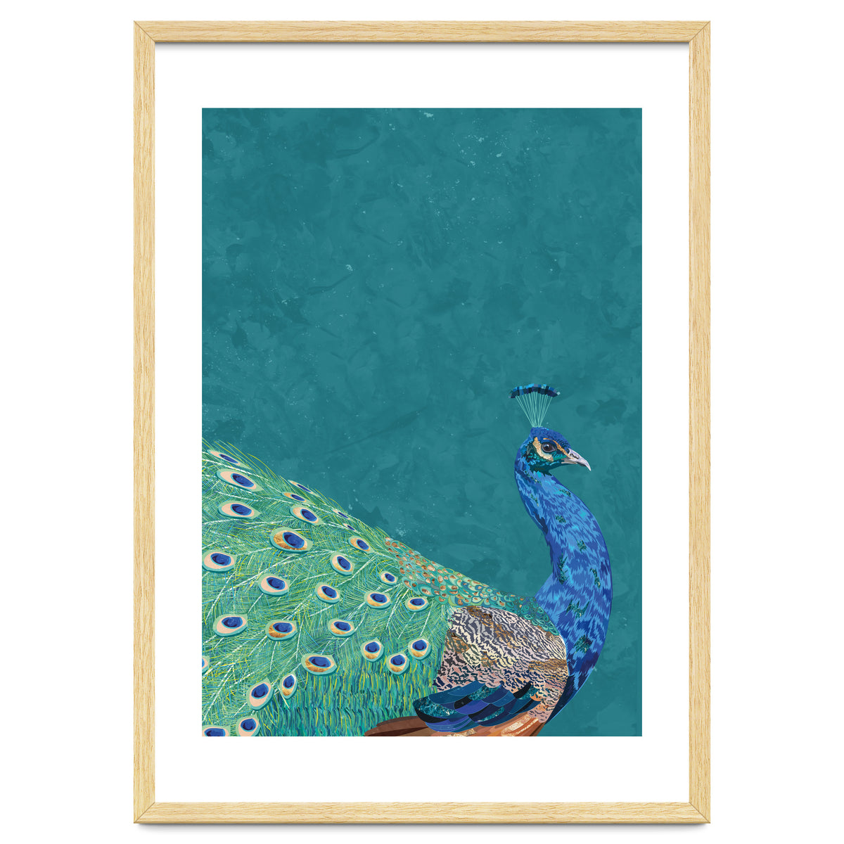 Perfect Peacock Turquoise Portrait