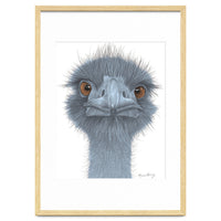 The Blue Emu