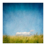 The Cloud That Fell From The Sky (Print Only) thumbnail