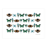 Spring Butterflies (Print Only) thumbnail