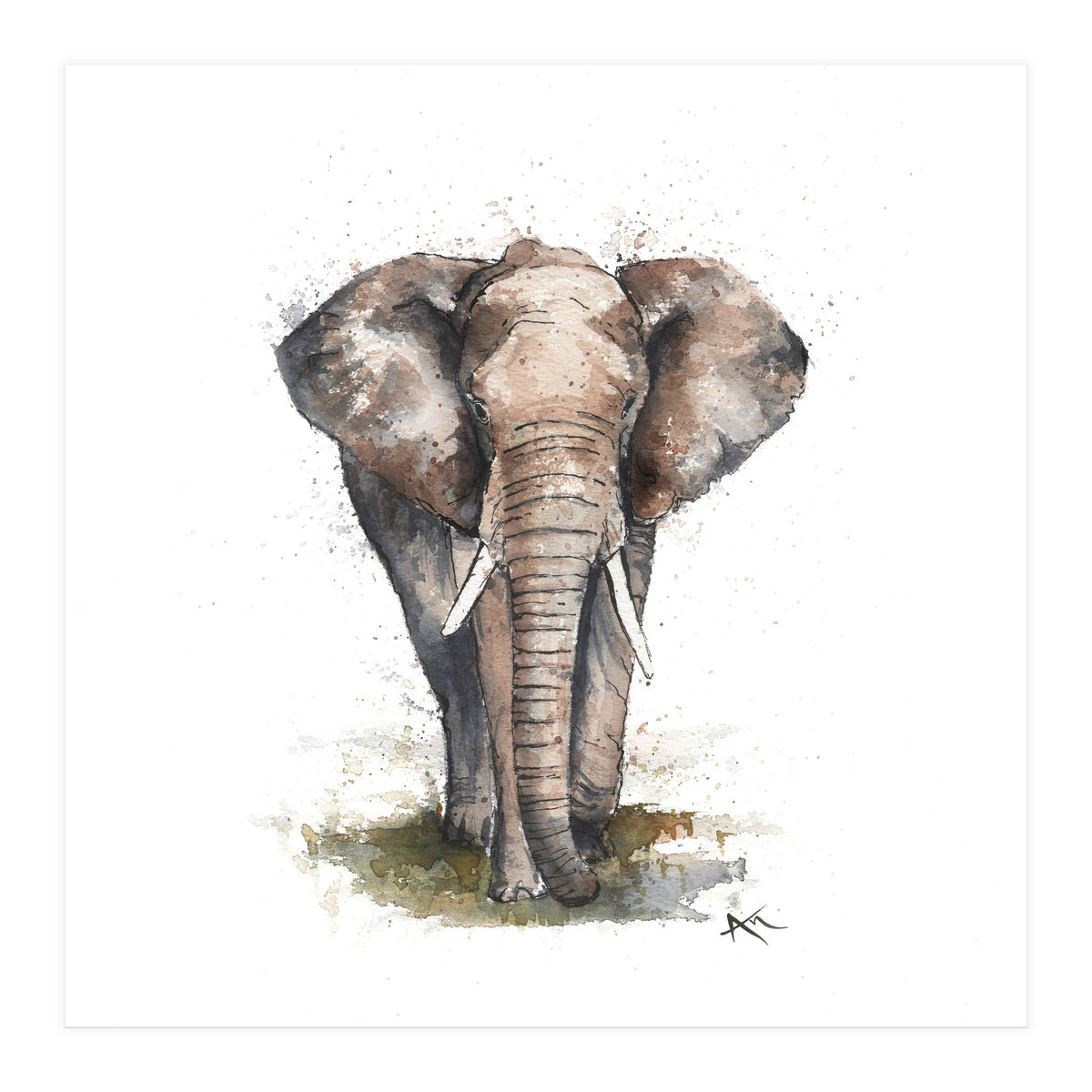 Elephant - Wildlife Collection (Print Only)