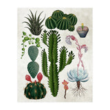 botanical (Print Only) thumbnail