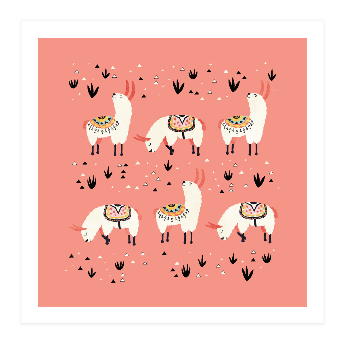 White Llamas In Pink Desert (Print Only)