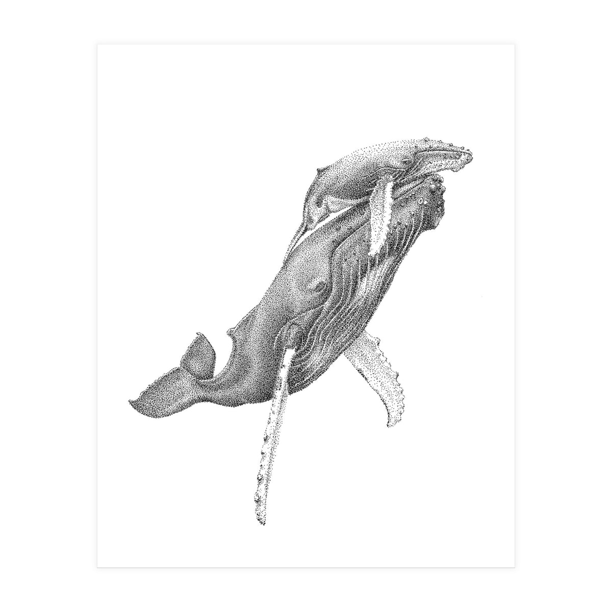 Humpacks no. 3 (Print Only)