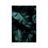 Dark Leafs (Print Only) thumbnail