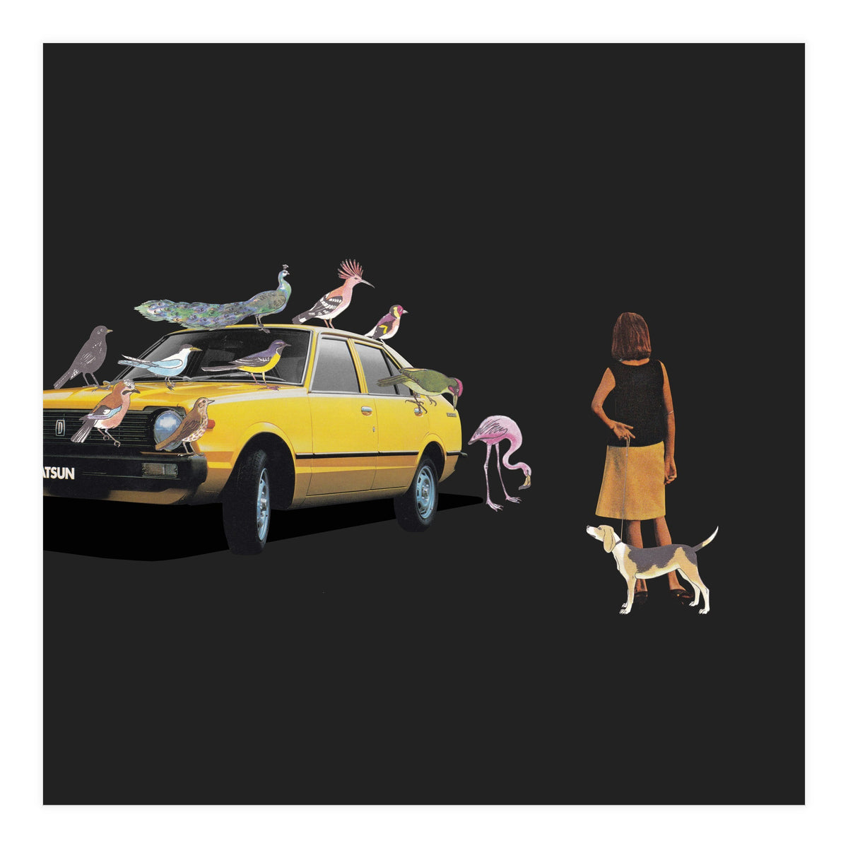 Bird Gang (Print Only)