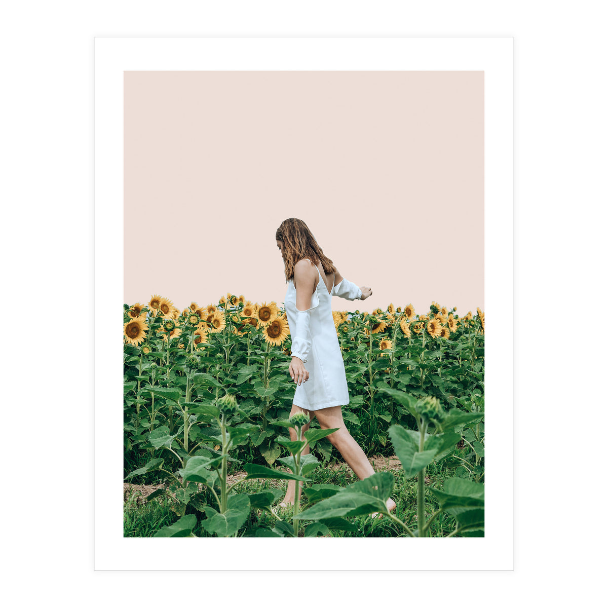 Lost In Sunflowers (Print Only)