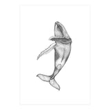Humpacks no. 2 (Print Only) thumbnail