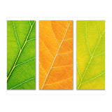 Autumn Leaves (Print Only) thumbnail