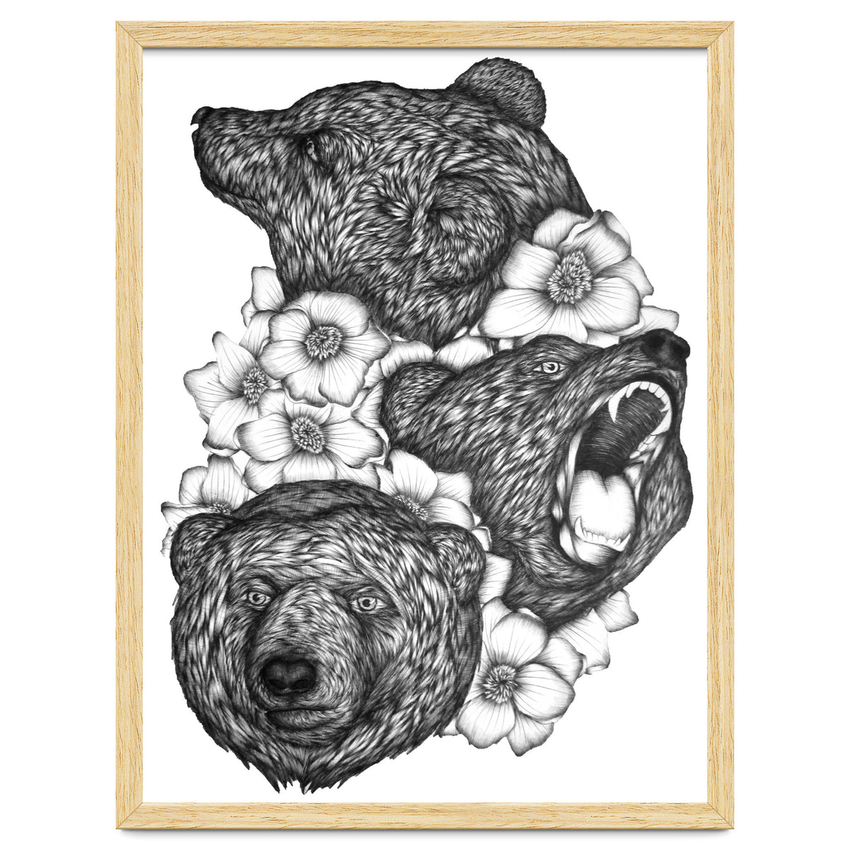 Bears In Bears