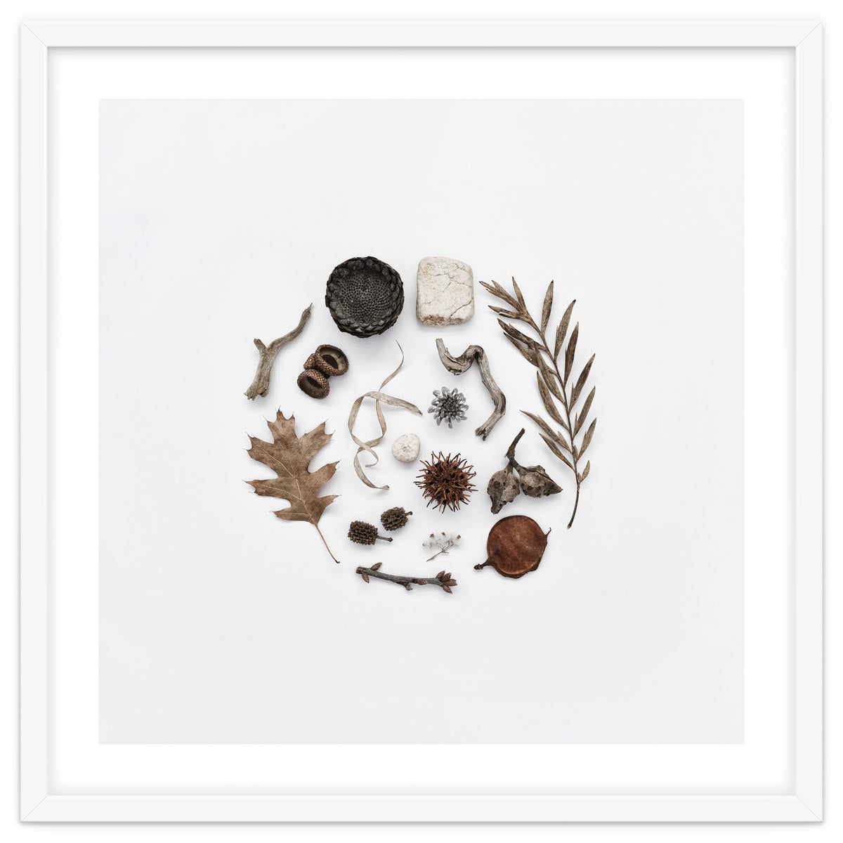 Treasures From Nature No. 2 - Square