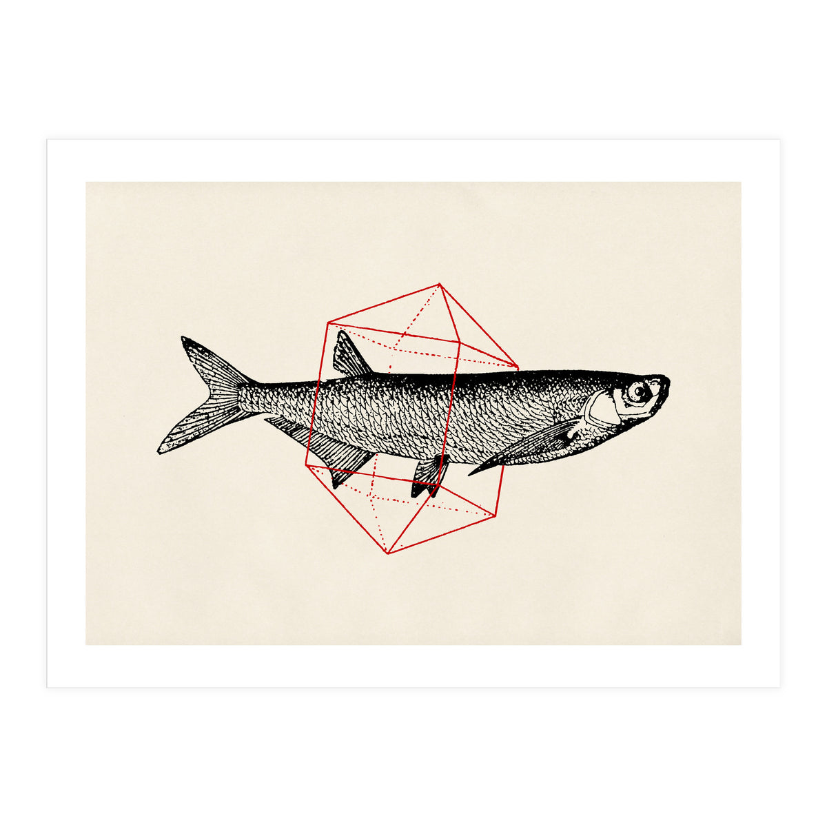 Fish In Geometrics II (Print Only)