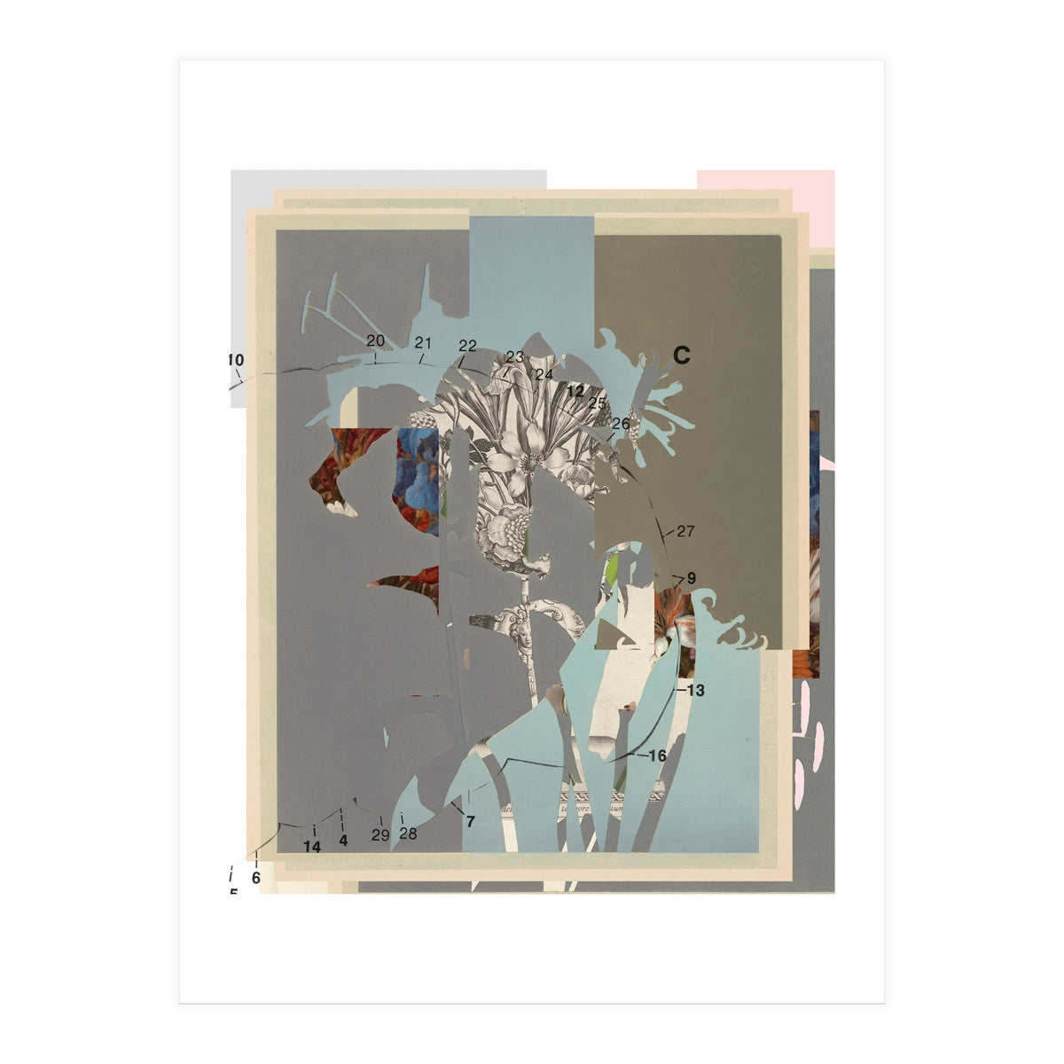 The First Plant · D (Print Only)