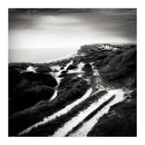 coastal path (Print Only) thumbnail