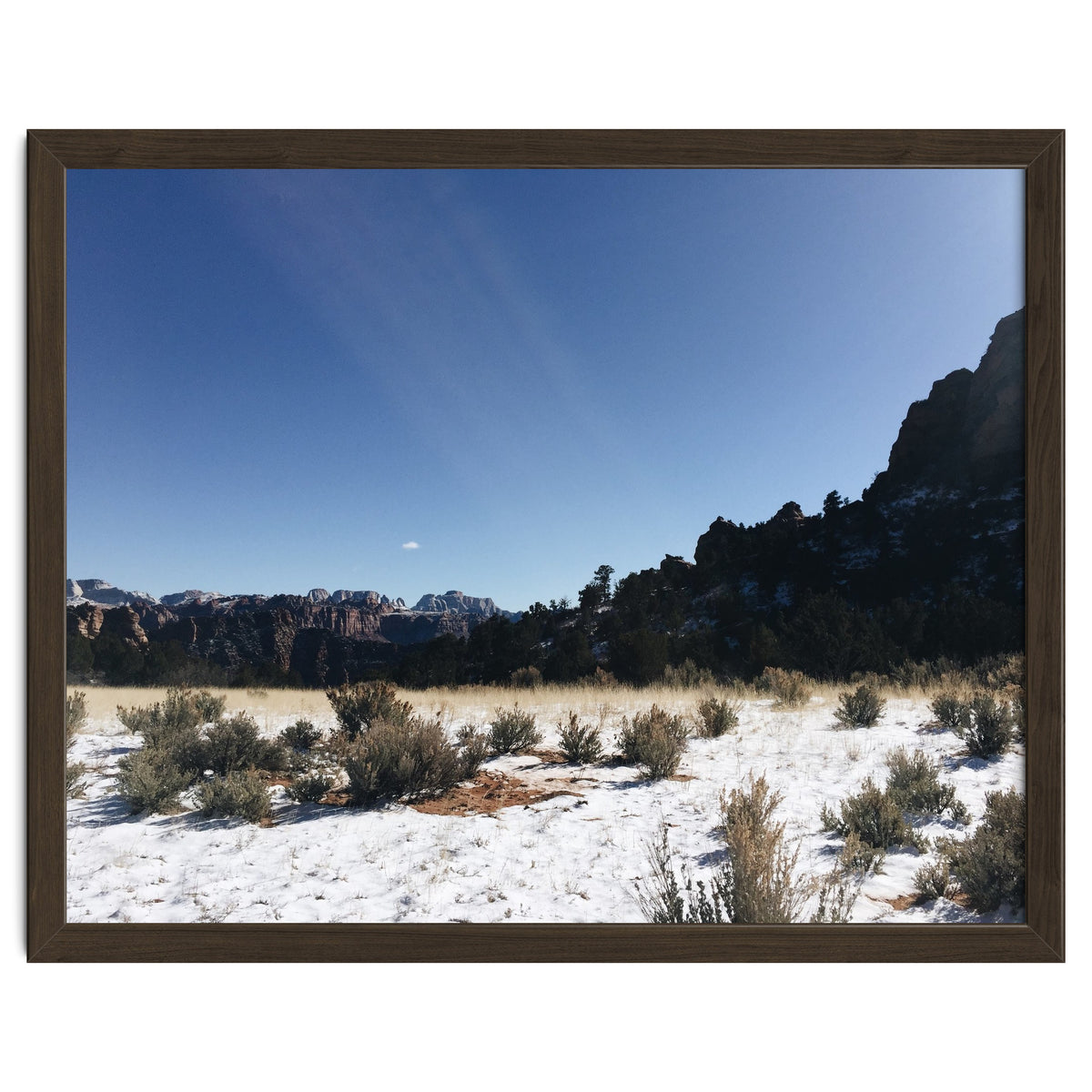 Zion National Park II