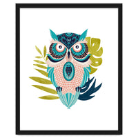 Moon Eyed Owl