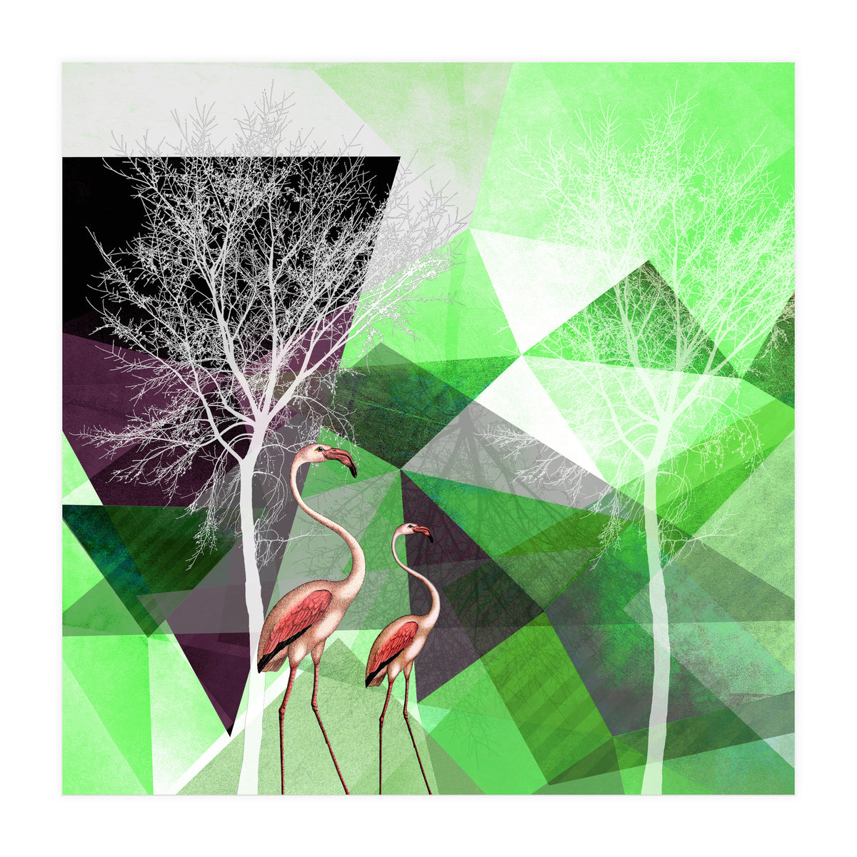 FLAMINGOS P21  (Print Only)