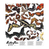 Maine Butterflies Chart (Print Only) thumbnail