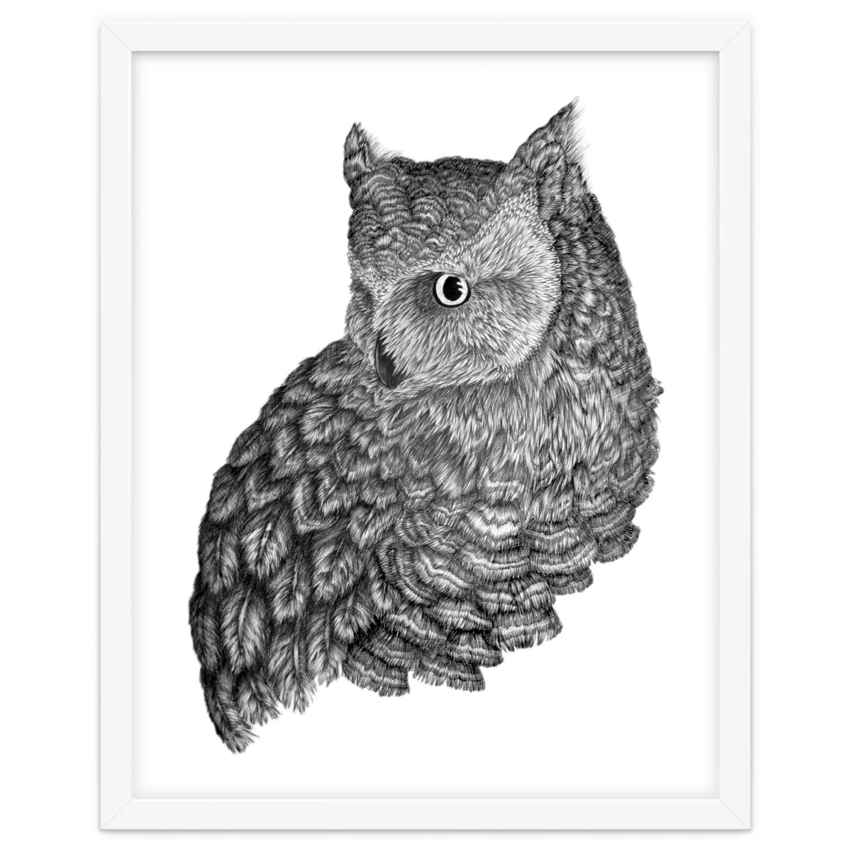 A Friend For Forsythe