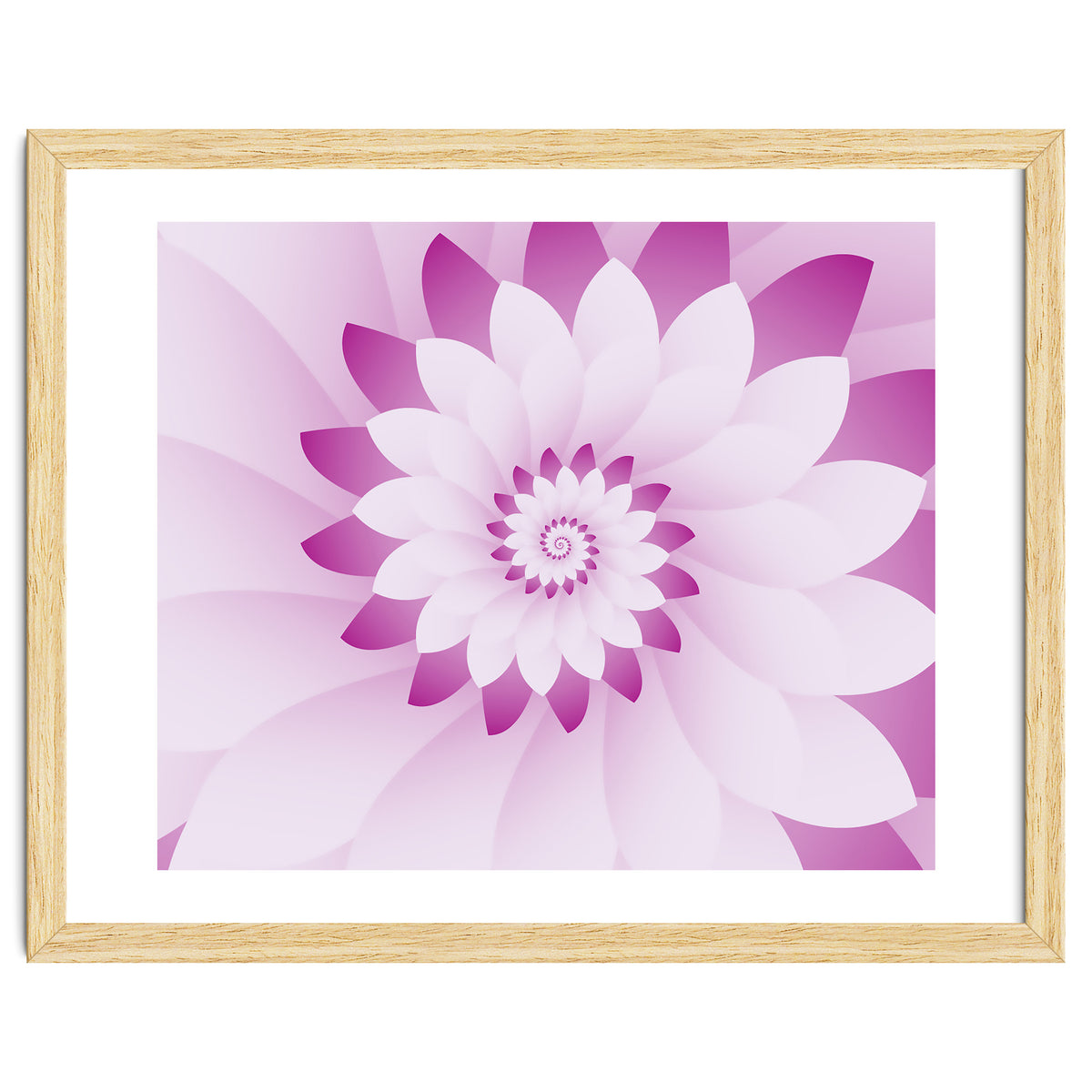 Abstract Pink & White Floral Design