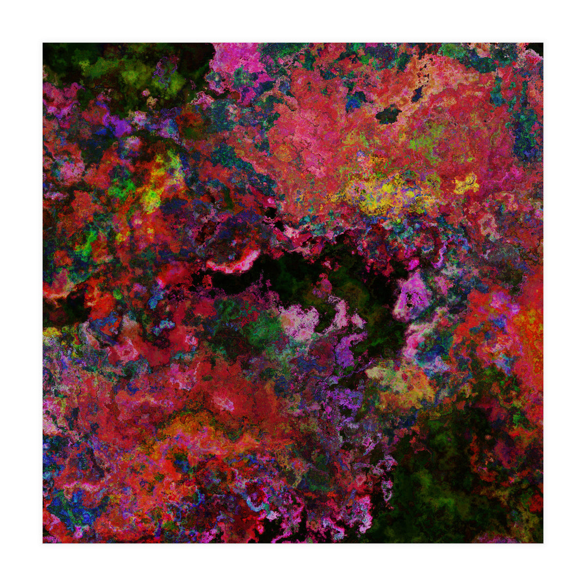 Blooms  (Print Only)