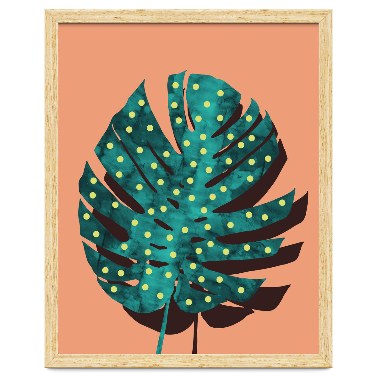 Monstera Deliciosa IV