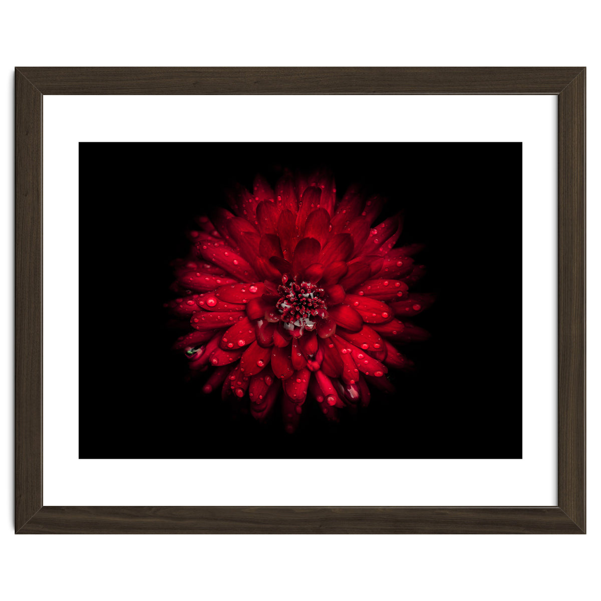 Backyard Flowers 45 Color Version