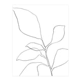 Six Leaf Plant (Print Only) thumbnail